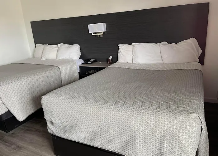 Windsor Havasu Motel